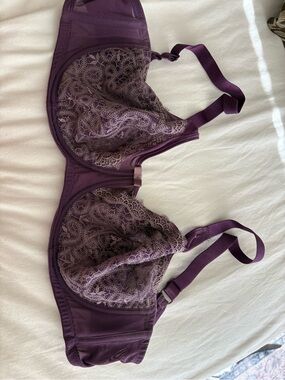 Lace Underwire Bra in Plum with Sheer Lace Cups